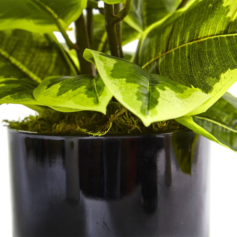 Nearly Natural Artificial Rubber Plant in Glossy Cylinder (Real Touch) - Image 3